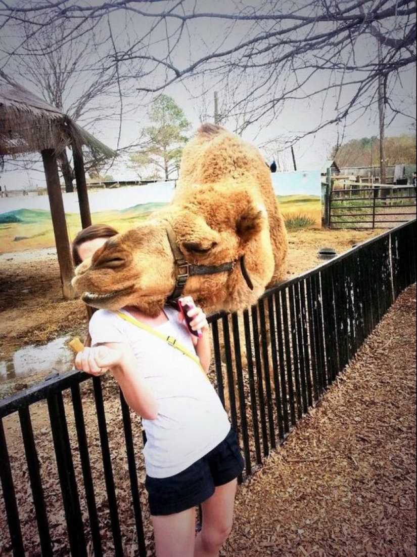 23 pictures taken a second before the inevitable