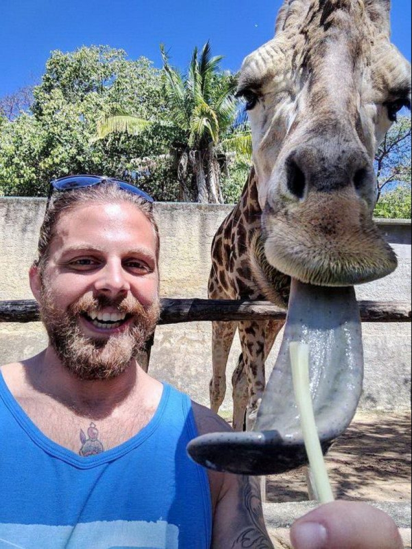 23 pictures taken a second before the inevitable