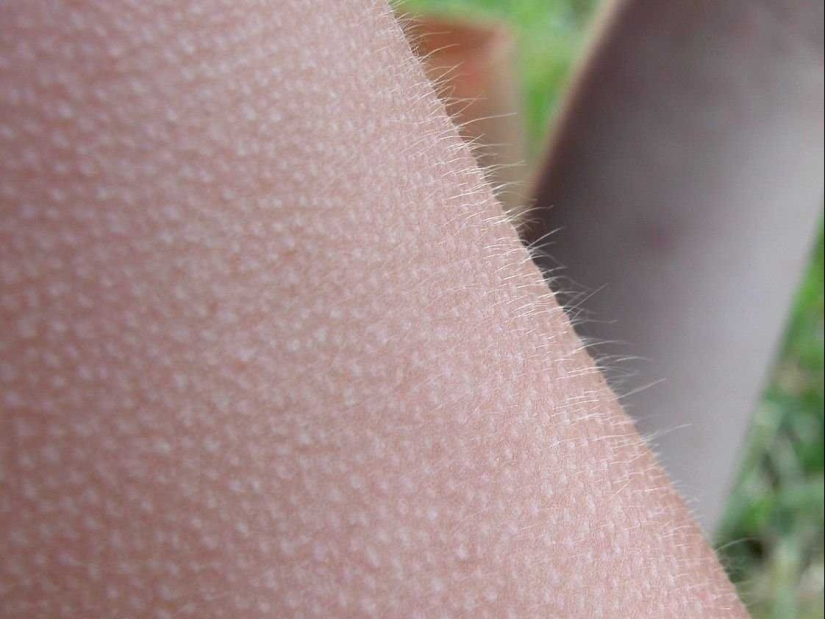 23 unknown facts about our world that will make you think 23 unknown facts about our world that will make you think