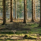 23 unknown facts about our world that will make you think