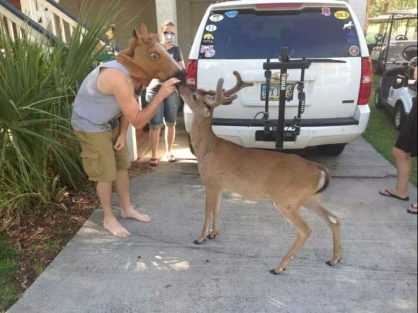 24 evidence that the first 40 years of childhood are the most difficult in the life of men 24 evidence that the first 40 years of childhood are the most difficult in the life of men