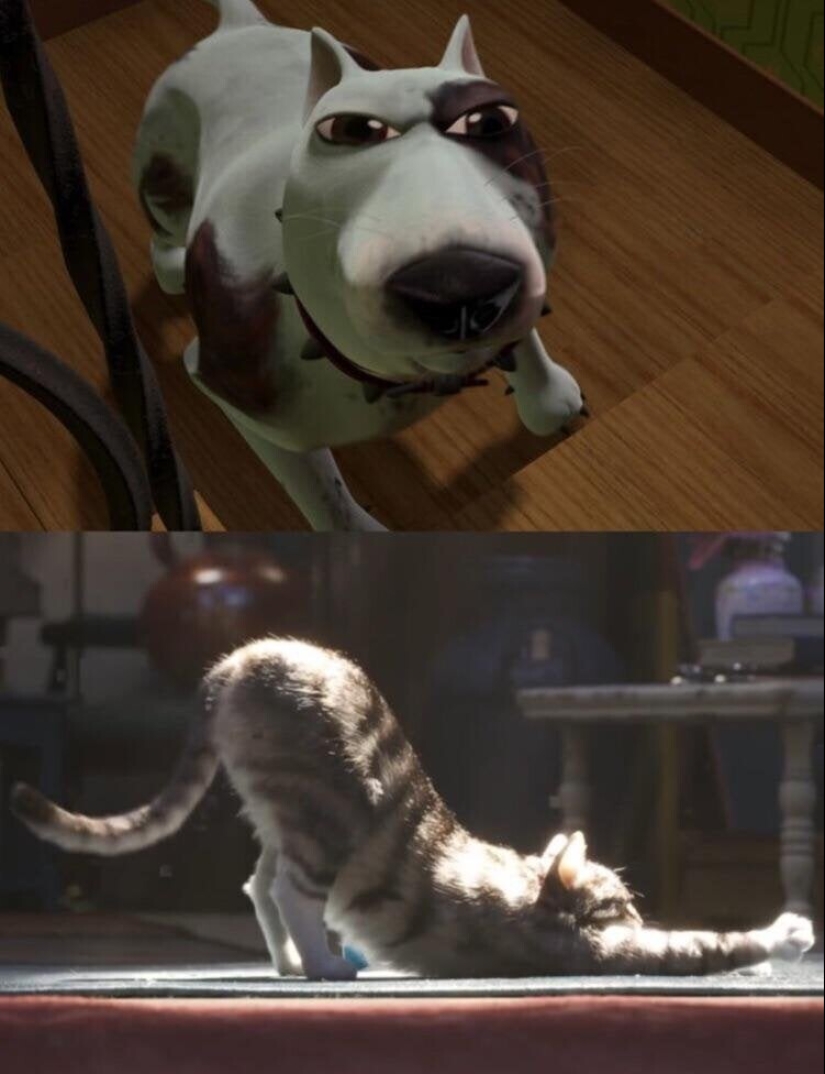 24 foto demostrando que nuestro mundo es un lugar maravilloso 24 foto demostrando que nuestro mundo es un lugar maravilloso