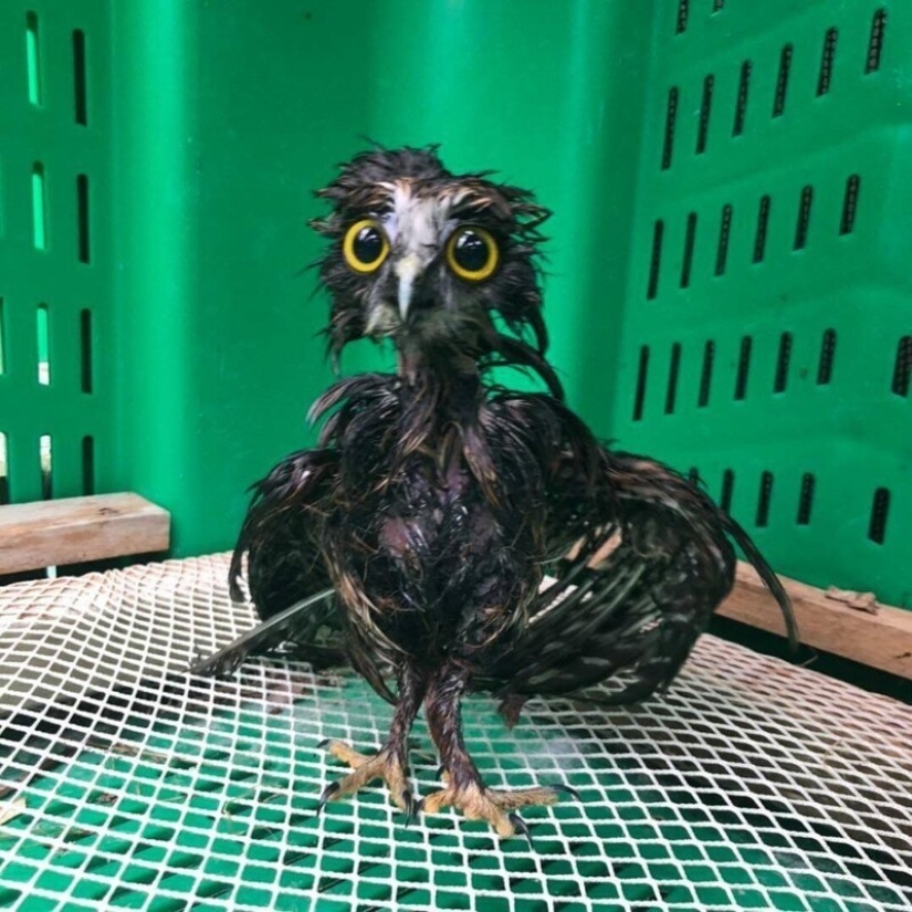 24 foto demostrando que nuestro mundo es un lugar maravilloso 24 foto demostrando que nuestro mundo es un lugar maravilloso