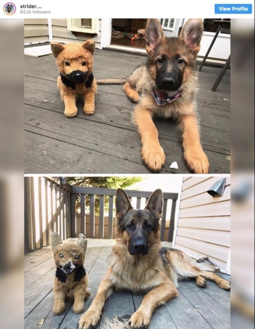 24 fotos demostrando que el tiempo vuela inexorablemente rápido 24 fotos demostrando que el tiempo vuela inexorablemente rápido