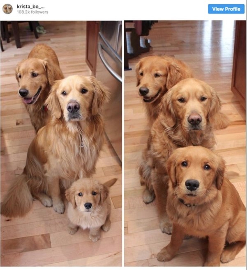 24 fotos demostrando que el tiempo vuela inexorablemente rápido 24 fotos demostrando que el tiempo vuela inexorablemente rápido