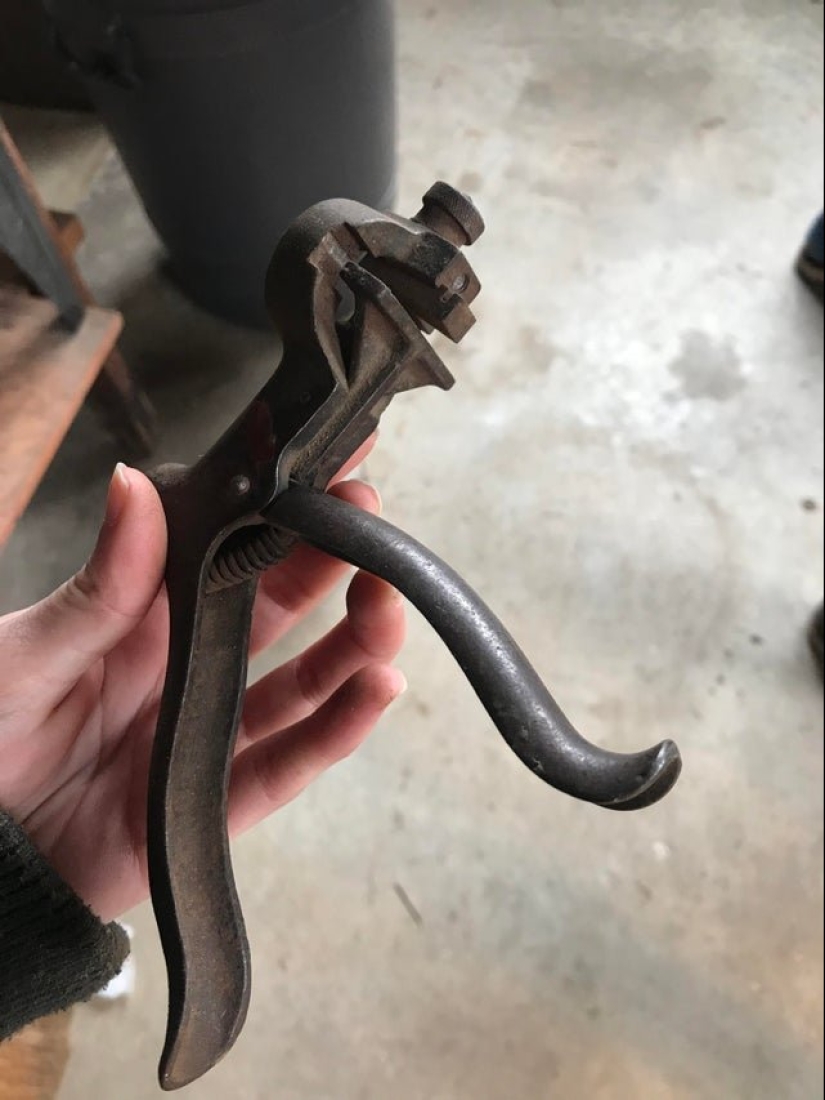 24 interesantes, pero oscuro sujeto, el cual tuve que pedir en la Red 24 interesantes, pero oscuro sujeto, el cual tuve que pedir en la Red