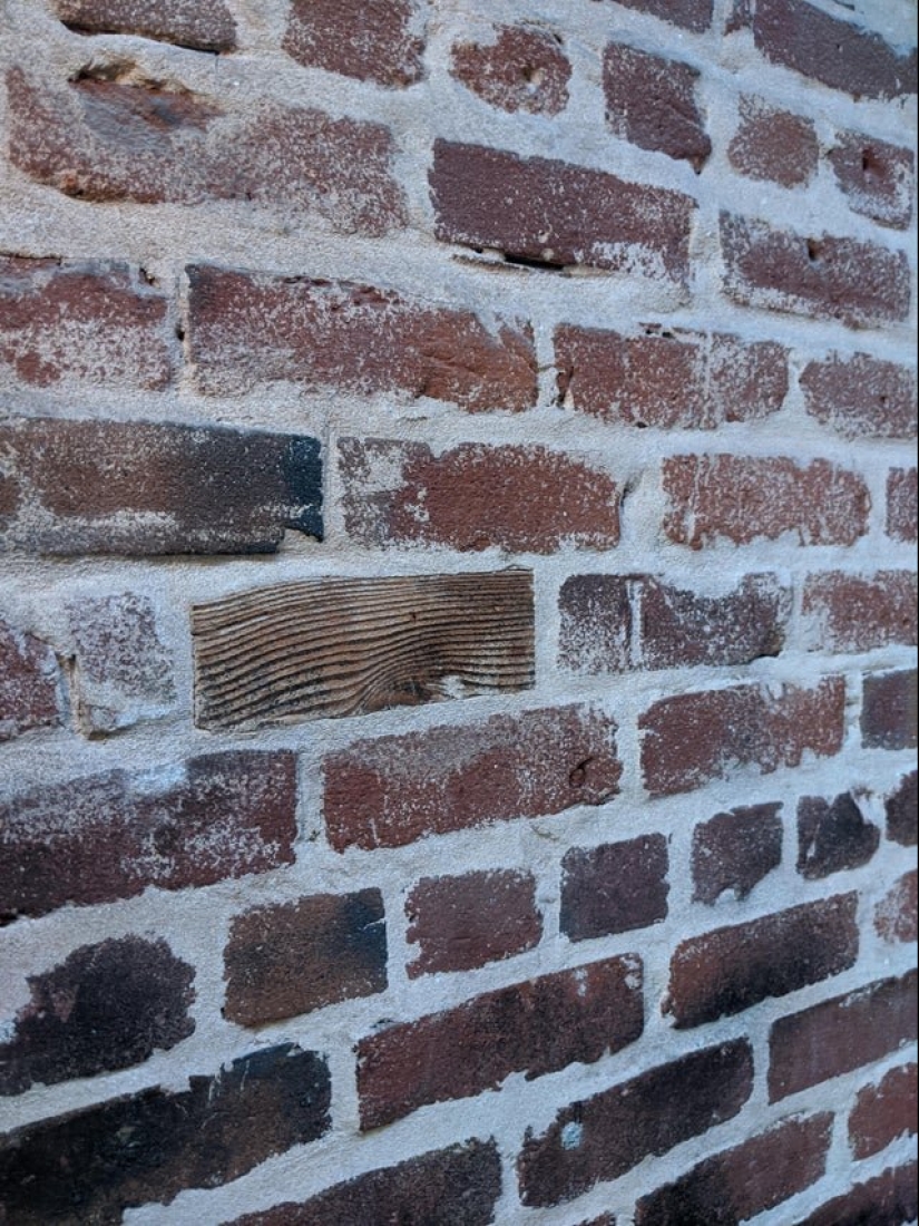 24 interesantes, pero oscuro sujeto, el cual tuve que pedir en la Red 24 interesantes, pero oscuro sujeto, el cual tuve que pedir en la Red