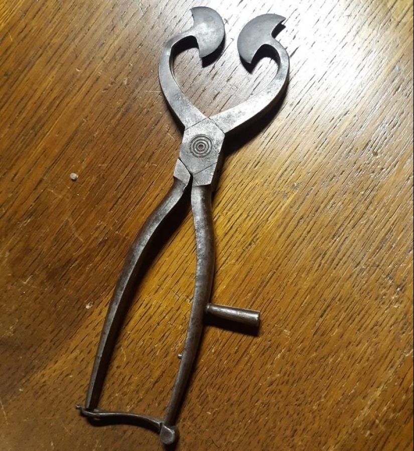 24 interesting but obscure subject, which I had to ask in the Network 24 interesting but obscure subject, which I had to ask in the Network