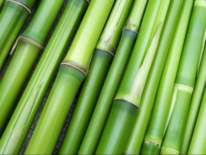 25 amulets for good luck from all over the world 25 amulets for good luck from all over the world