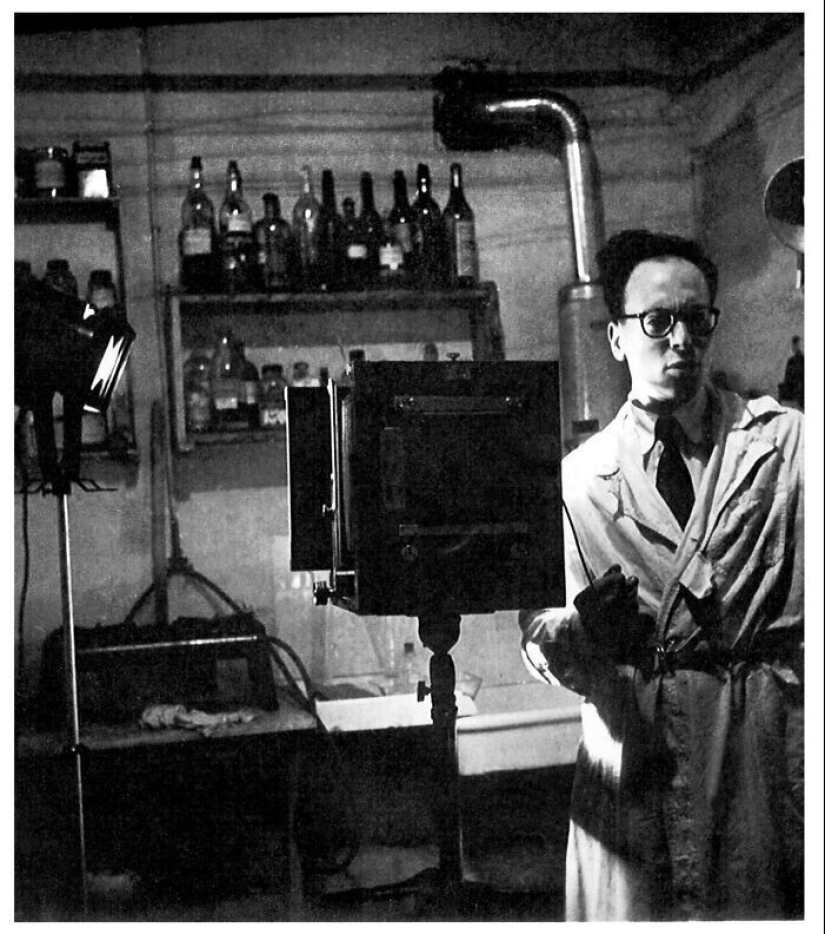 25 amusing facts from the online group Today I Learned