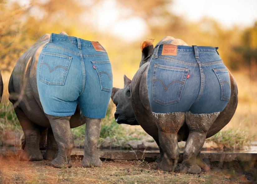 25 collages de fotos locos de un artista turco 25 collages de fotos locos de un artista turco