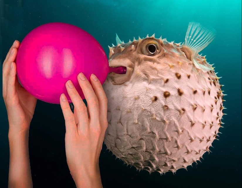 25 collages de fotos locos de un artista turco 25 collages de fotos locos de un artista turco