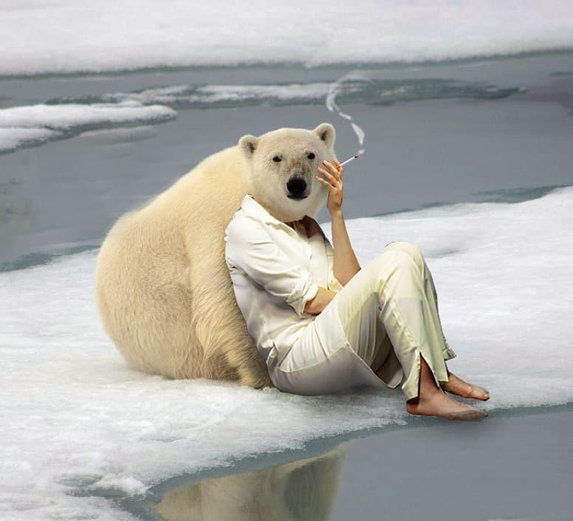 25 collages de fotos locos de un artista turco 25 collages de fotos locos de un artista turco