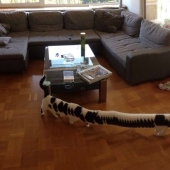 25 de los peores lugares en el mundo