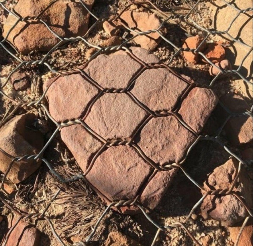 25 ejemplos impresionantes que demuestran la influencia despiadada del tiempo