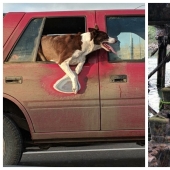 25 ejemplos impresionantes que demuestran la influencia despiadada del tiempo