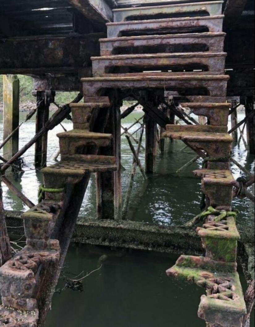 25 ejemplos impresionantes que demuestran la influencia despiadada del tiempo