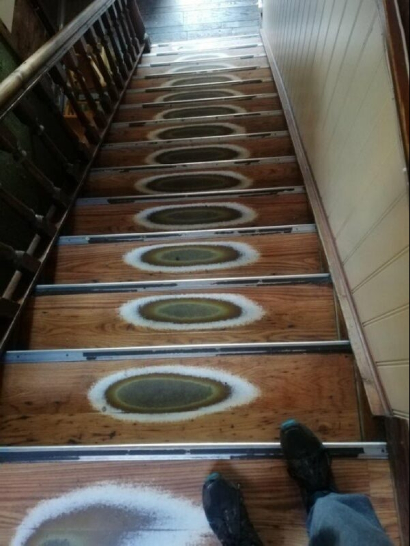 25 ejemplos impresionantes que demuestran la influencia despiadada del tiempo