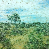 25 examples when nature has created beautiful works of art