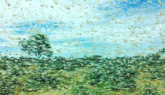 25 examples when nature has created beautiful works of art