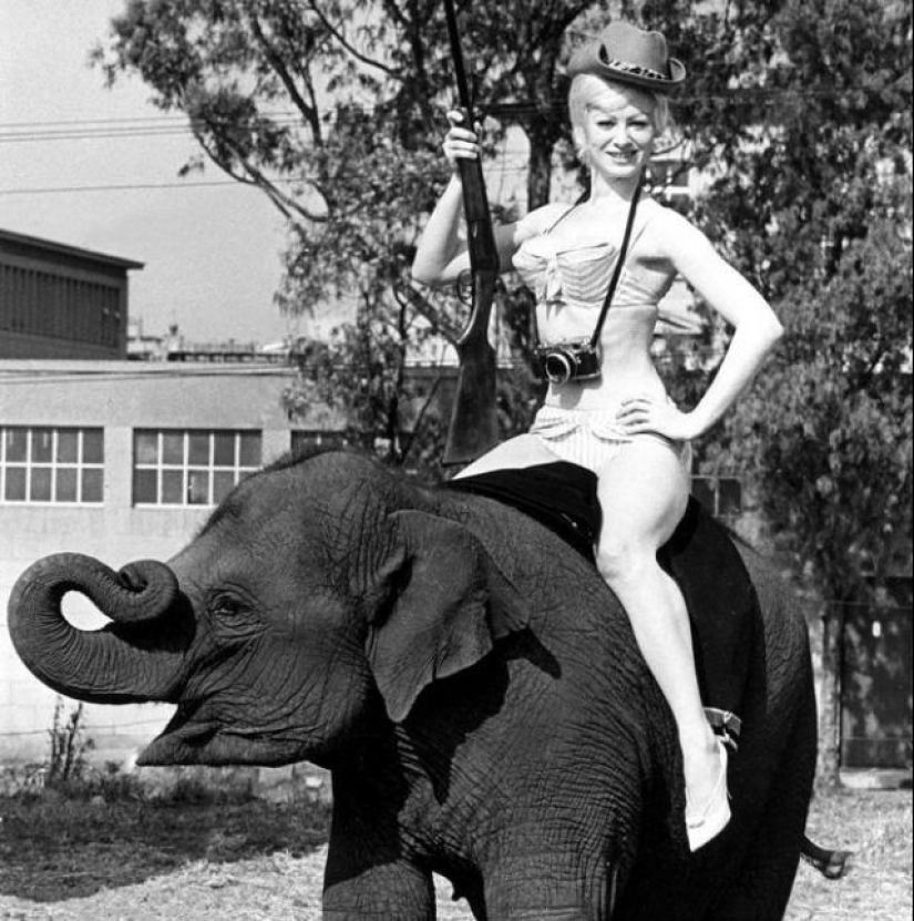 25 fotos seductoras de la rompecorazones Sabrina, la británica Marilyn Monroe 25 fotos seductoras de la rompecorazones Sabrina, la británica Marilyn Monroe