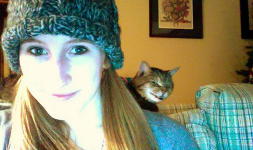 25 gatos insidiosos que planeaban matar en secreto a sus dueños 25 gatos insidiosos que planeaban matar en secreto a sus dueños