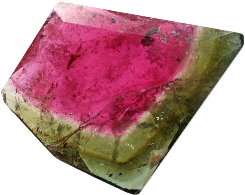 25 incredibly beautiful bird portraits