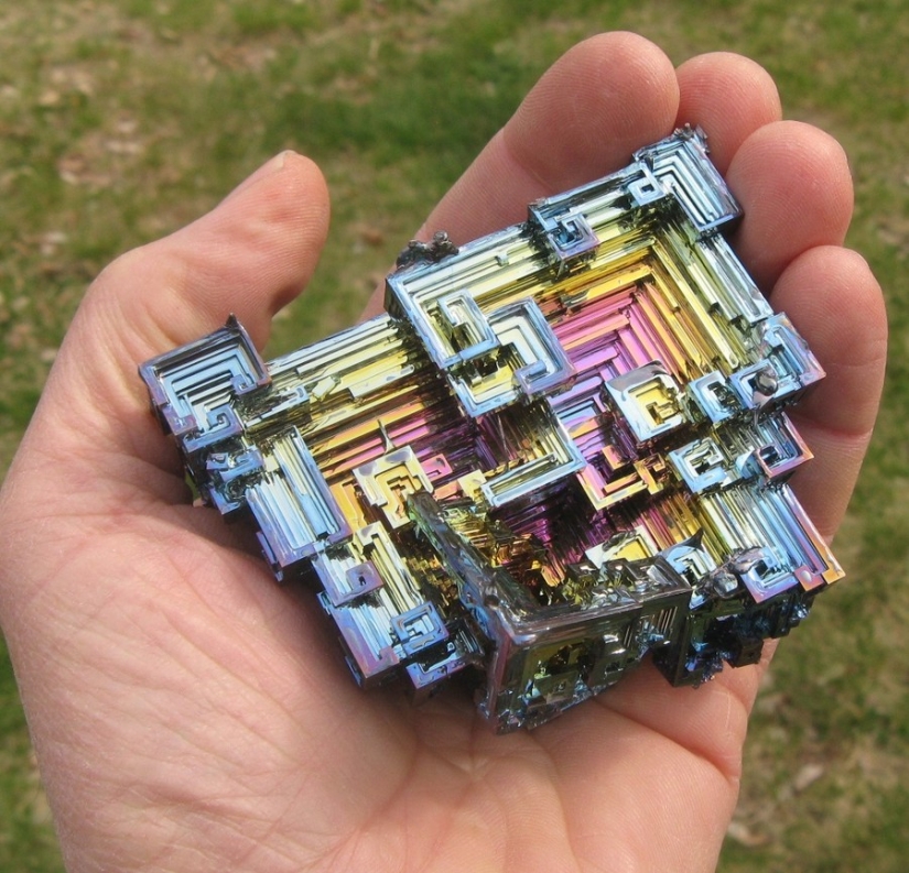 25 incredibly beautiful bird portraits