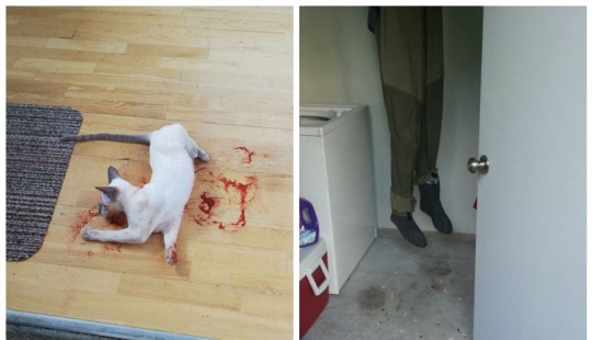 25 innocent things that almost caused a heart attack