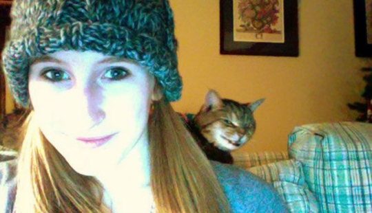 25 insidious cats who planned to secretly kill their owners