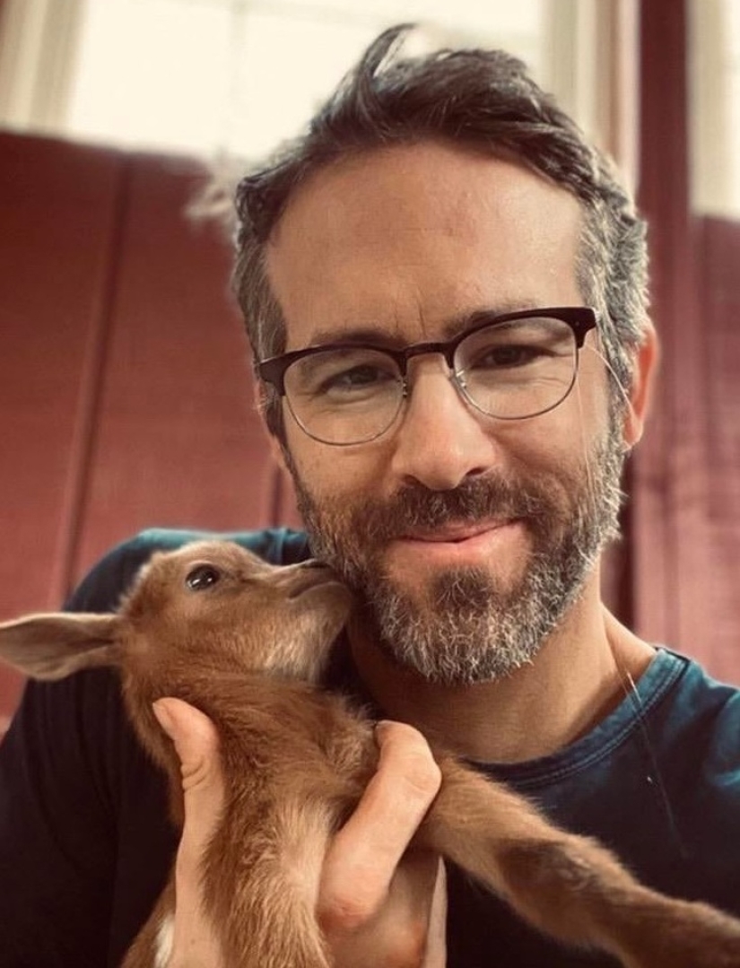 25 mullidas y lindas pruebas de que las cabras bebé pueden eclipsar a los gatitos y cachorros con su dulzura 25 mullidas y lindas pruebas de que las cabras bebé pueden eclipsar a los gatitos y cachorros con su dulzura