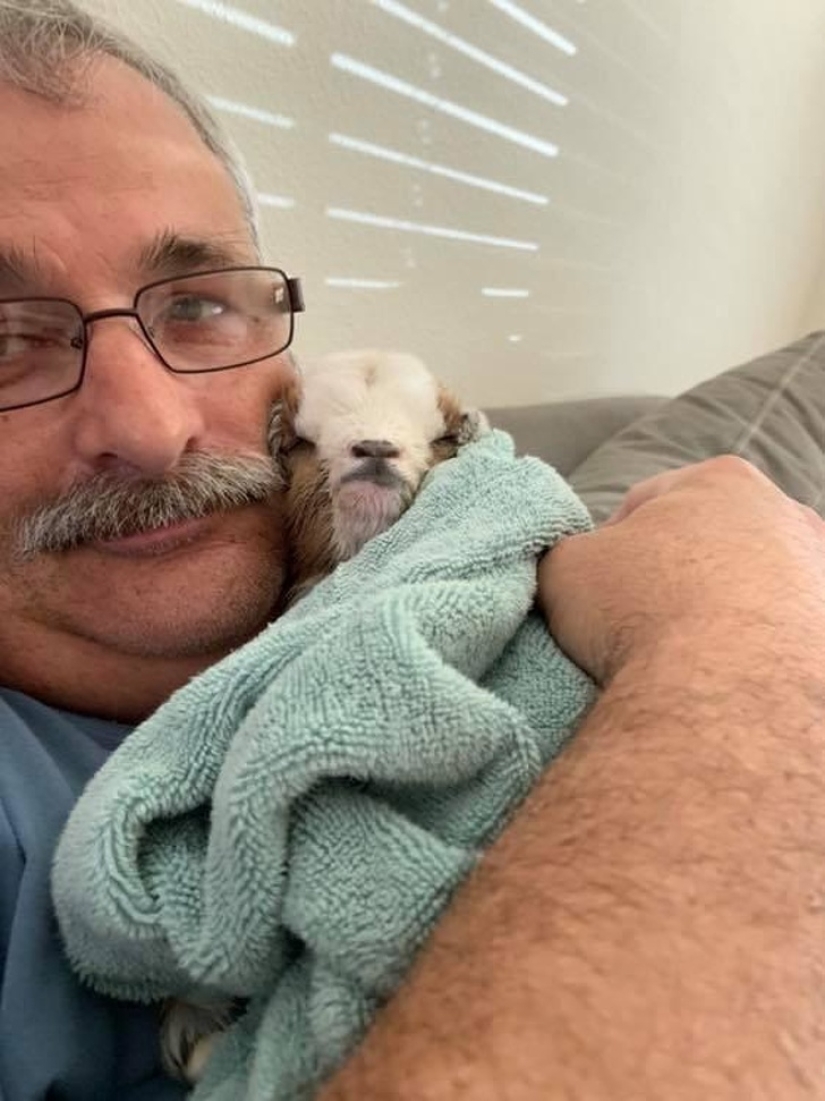 25 mullidas y lindas pruebas de que las cabras bebé pueden eclipsar a los gatitos y cachorros con su dulzura 25 mullidas y lindas pruebas de que las cabras bebé pueden eclipsar a los gatitos y cachorros con su dulzura