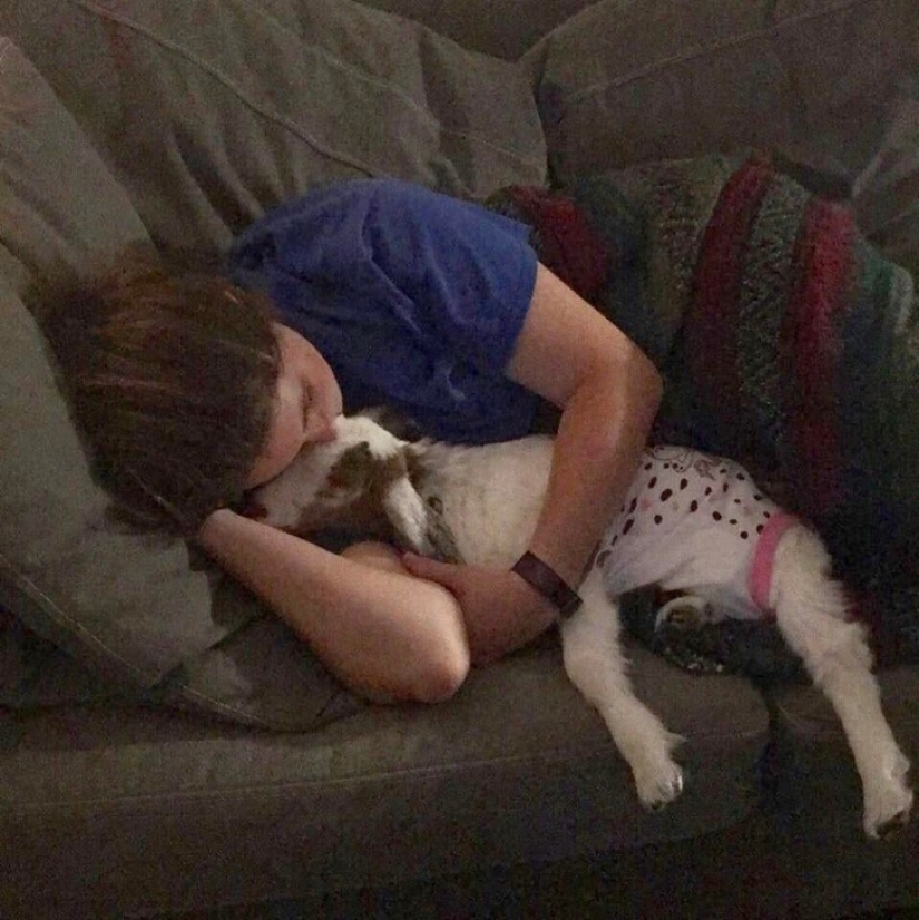 25 mullidas y lindas pruebas de que las cabras bebé pueden eclipsar a los gatitos y cachorros con su dulzura 25 mullidas y lindas pruebas de que las cabras bebé pueden eclipsar a los gatitos y cachorros con su dulzura