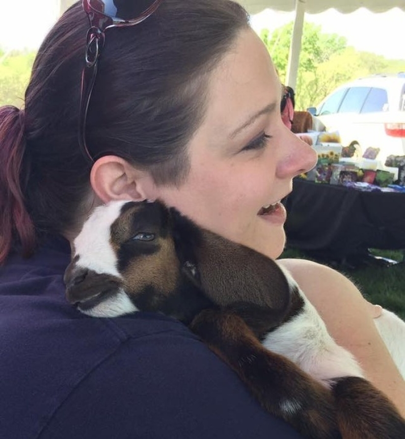 25 mullidas y lindas pruebas de que las cabras bebé pueden eclipsar a los gatitos y cachorros con su dulzura 25 mullidas y lindas pruebas de que las cabras bebé pueden eclipsar a los gatitos y cachorros con su dulzura