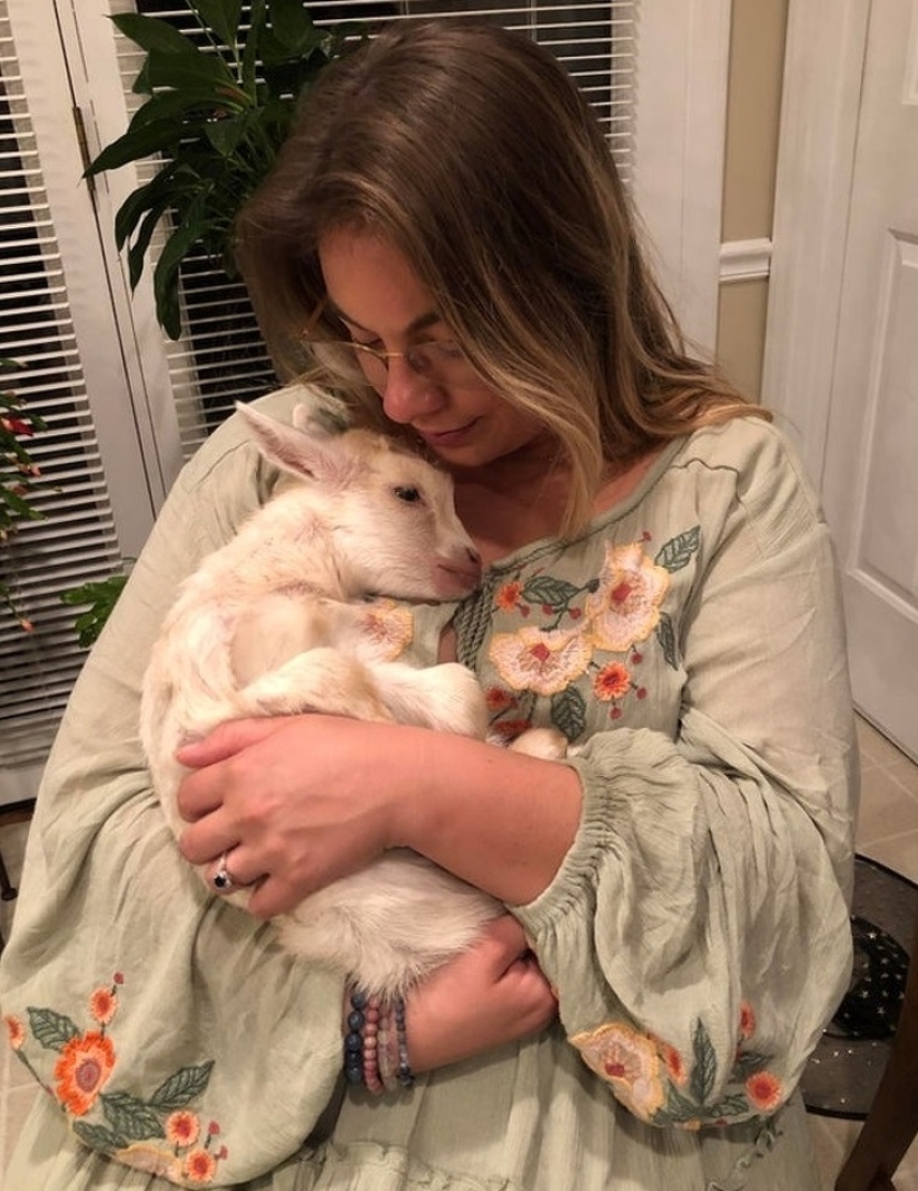 25 mullidas y lindas pruebas de que las cabras bebé pueden eclipsar a los gatitos y cachorros con su dulzura 25 mullidas y lindas pruebas de que las cabras bebé pueden eclipsar a los gatitos y cachorros con su dulzura