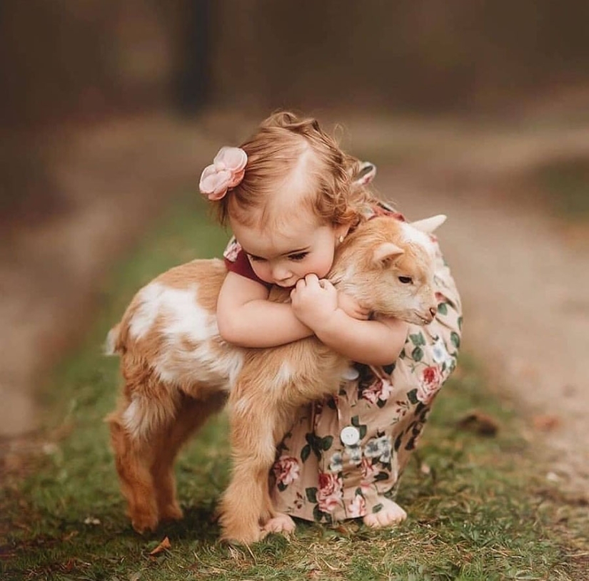 25 mullidas y lindas pruebas de que las cabras bebé pueden eclipsar a los gatitos y cachorros con su dulzura 25 mullidas y lindas pruebas de que las cabras bebé pueden eclipsar a los gatitos y cachorros con su dulzura