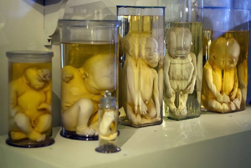 25 of the World's Weirdest Museums 25 of the World's Weirdest Museums