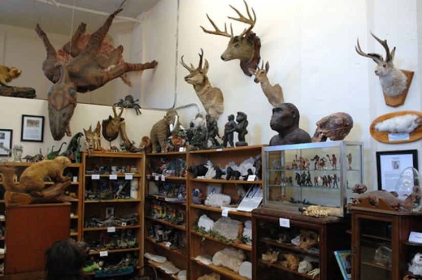 25 of the World's Weirdest Museums 25 of the World's Weirdest Museums