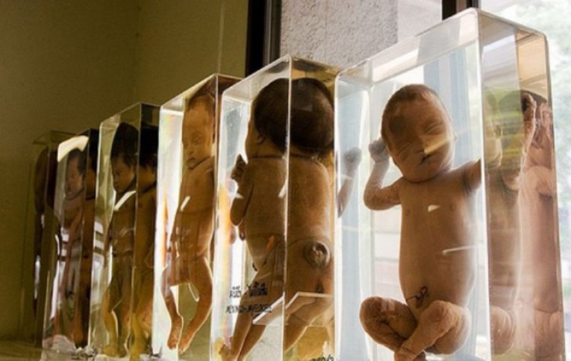 25 of the World's Weirdest Museums 25 of the World's Weirdest Museums