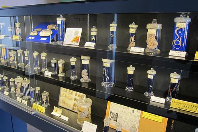 25 of the World's Weirdest Museums 25 of the World's Weirdest Museums