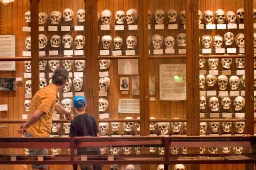 25 of the World's Weirdest Museums 25 of the World's Weirdest Museums
