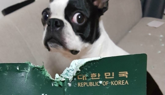 25 people who were caught up in bad luck