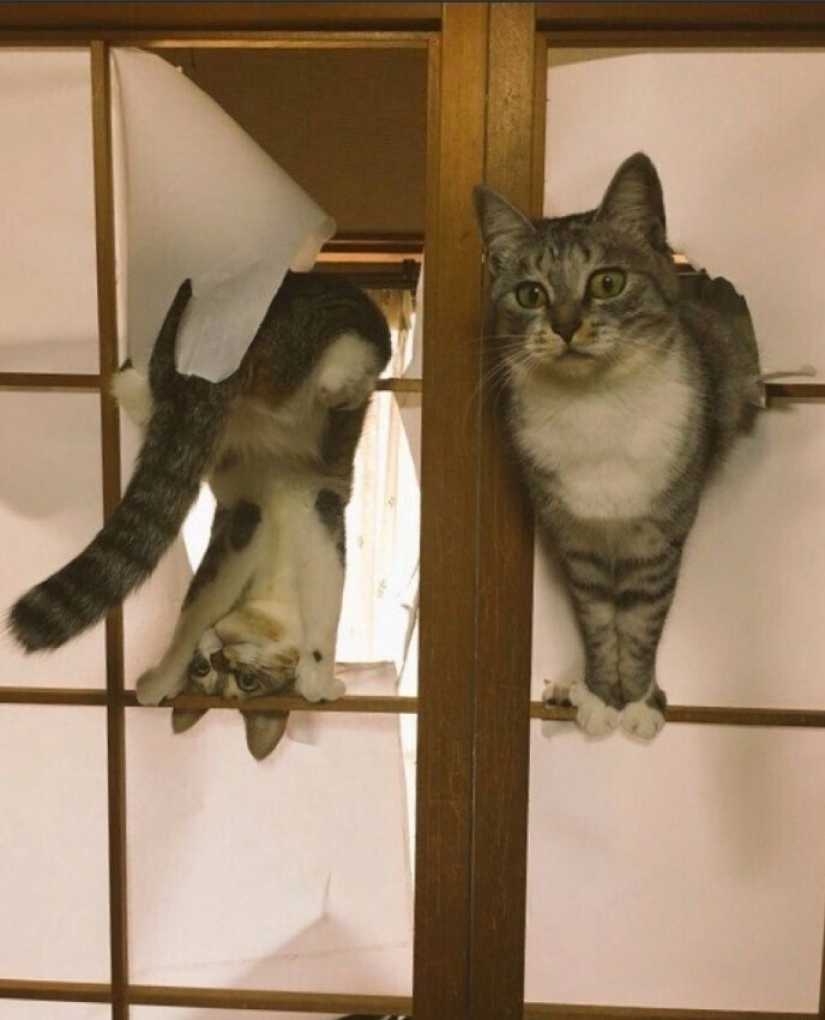 25 personas que cometieron errores irreversibles y se rieron de sí mismas 25 personas que cometieron errores irreversibles y se rieron de sí mismas