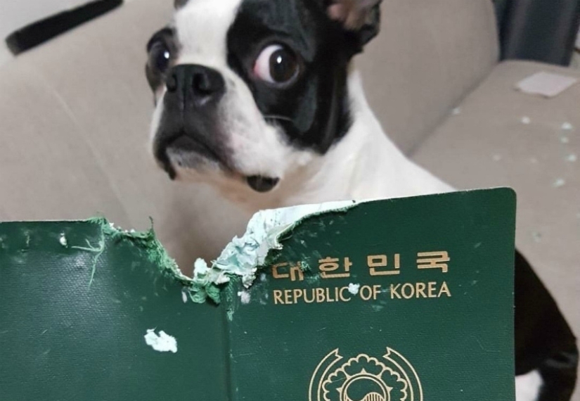 25 personas que se vieron atrapadas en la mala suerte 25 personas que se vieron atrapadas en la mala suerte