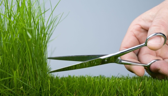 25 photos from which visual artists will have an aesthetic orgasm