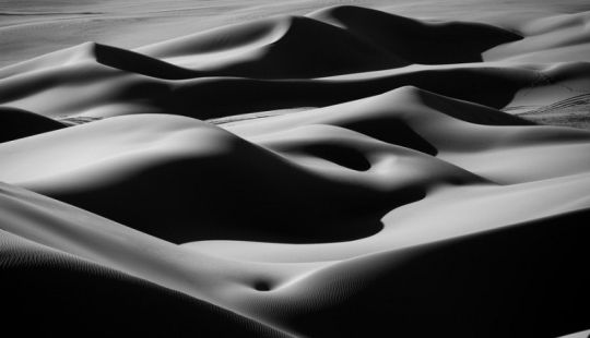 25 photos that'll have to look twice