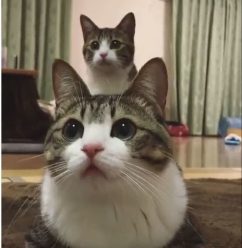 25 photos where all the fun happens in the background 25 photos where all the fun happens in the background