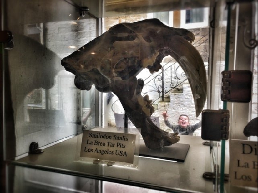 25 photos where all the fun happens in the background 25 photos where all the fun happens in the background