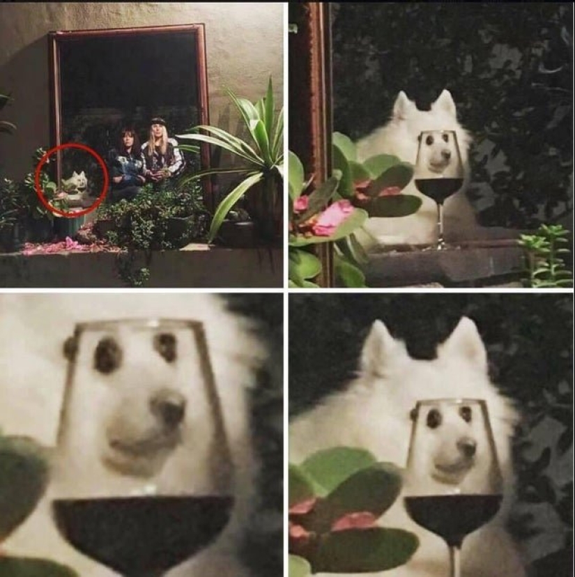 25 photos where all the fun happens in the background 25 photos where all the fun happens in the background