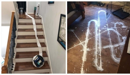 25 proofs that robot vacuum cleaners are still pranksters